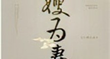山河枕(长嫂为妻)新版