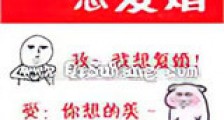 总裁说他想复婚新版