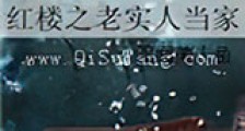 红楼之老实人当家新版