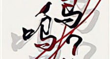 看鸟吗哥新版