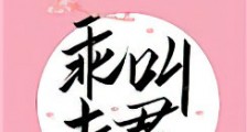 乖,叫夫君新版