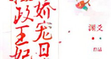 摄政王妃娇宠日常新版