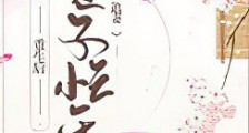 重生后世子忙于追妻新版