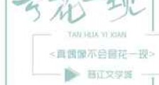 真偶像不会昙花一现新版