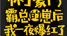 怀了豪门霸总的崽后我一夜爆红了新版