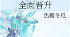 全面晋升新版