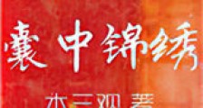 囊中锦绣新版