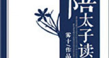 陪太子读书新版