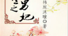 重生之盛世男妃新版