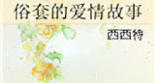 俗套的爱情故事新版