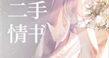 二手情书新版