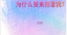算你狠,为什么要来招惹我新版