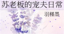 苏老板的宠夫日常新版