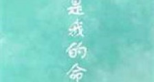 你是我的命运新版