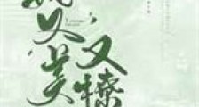 她又美又撩新版
