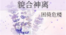貌合神离新版