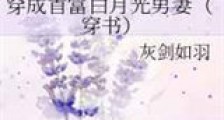 穿成首富白月光男妻新版