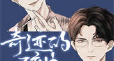 奇迹的碎片新版