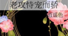 老攻恃宠而骄(穿越)新版