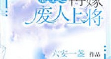 重生之再嫁末路上将新版