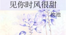 见你时风很甜新版