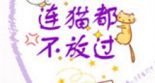 你居然连猫都不放过新版