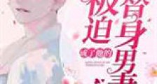 被迫成了他的替身男妻新版