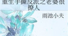 重生手撕反派之老婆很撩人新版