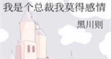 我是个总裁我莫得感情新版