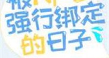 被NPC强行绑定的日子新版