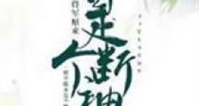 将军原来是个断袖新版