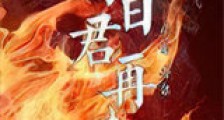 何日君再来新版