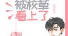 女扮男装后被校草看上了新版