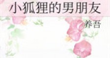 小狐狸的男朋友新版