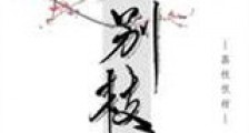 别枝新版