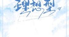 理想型新版