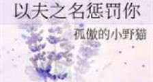 以夫之名惩罚你新版