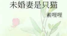 未婚妻是只猫新版