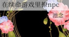 在续命游戏里撩npc新版